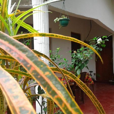 Winstar Homestay Сигирия Екстериор снимка
